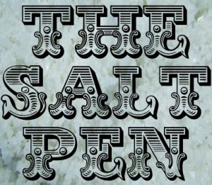 The Salt Pen by Bill Montana