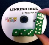 Linking Dice by Nobuyuki Nojima