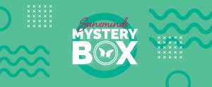 Mystery Box March 2020 by SansMinds Creative Lab